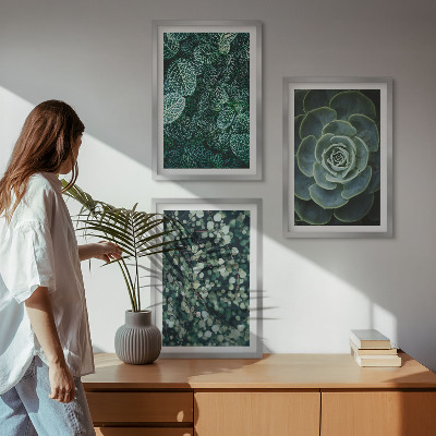Conjunto de quadros para sala de estar Suculentas