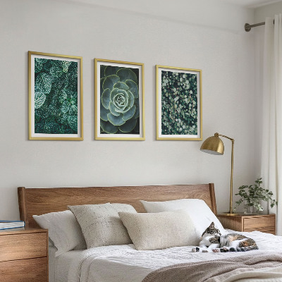 Conjunto de quadros para sala de estar Suculentas