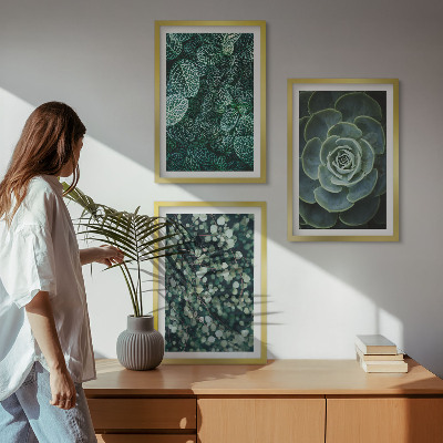 Conjunto de quadros para sala de estar Suculentas