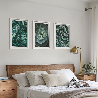 Conjunto de quadros para sala de estar Suculentas