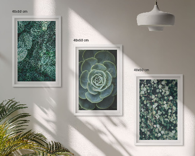 Conjunto de quadros para sala de estar Suculentas