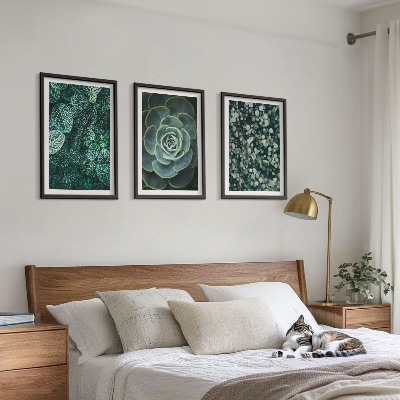 Conjunto de quadros para sala de estar Suculentas