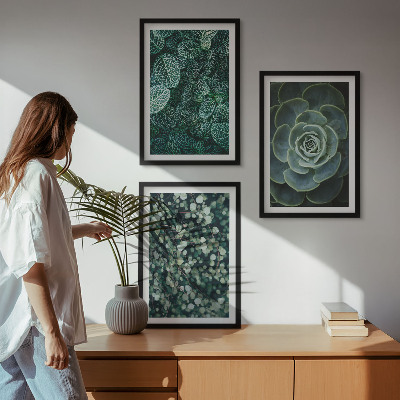 Conjunto de quadros para sala de estar Suculentas