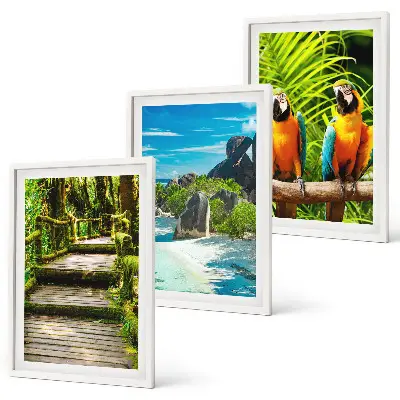 Conjunto de quadros para sala de estar com estampa de cachoeira e papagaios da floresta tropical