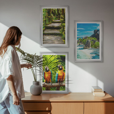 Conjunto de quadros para sala de estar cachoeira de papagaios da floresta tropical