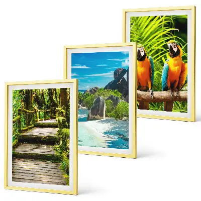 Conjunto de quadros para sala de estar com estampa de cachoeira e papagaios da floresta tropical