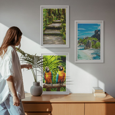 Conjunto de quadros para sala de estar cachoeira de papagaios da floresta tropical