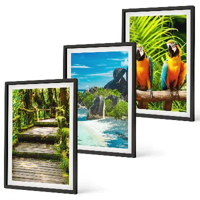 Conjunto de quadros para sala de estar com estampa de cachoeira e papagaios da floresta tropical