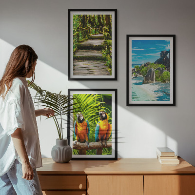 Conjunto de quadros para sala de estar cachoeira de papagaios da floresta tropical