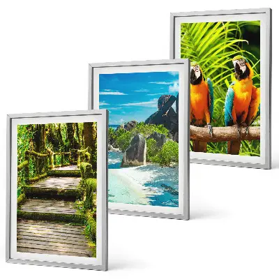 Conjunto de quadros para sala de estar com estampa de cachoeira e papagaios da floresta tropical