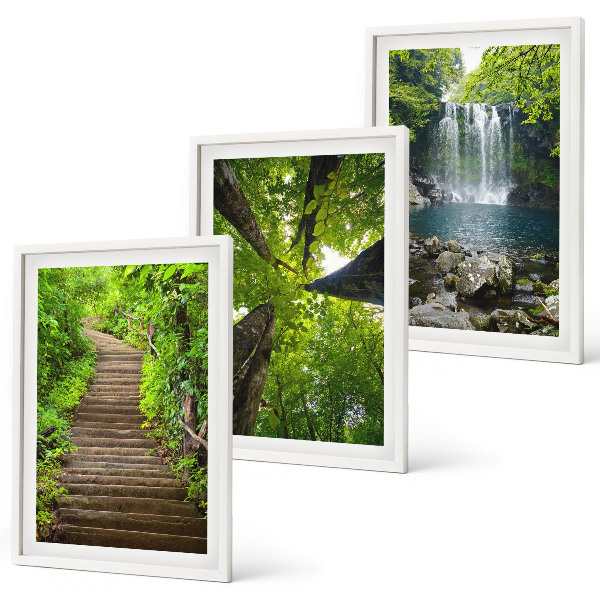 Conjunto de 3 quadros com moldura Trilha na floresta com cachoeira e vegetação