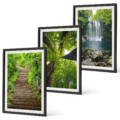 Conjunto de 3 quadros com moldura Trilha na floresta com cachoeira e vegetação