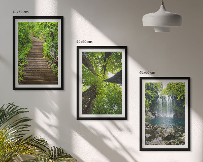 Conjunto de 3 quadros com moldura Trilha na floresta com cachoeira e vegetação