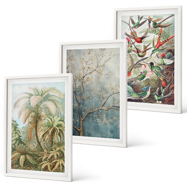 Conjunto de quadros para sala de estar Plantas tropicais, pássaros, natureza