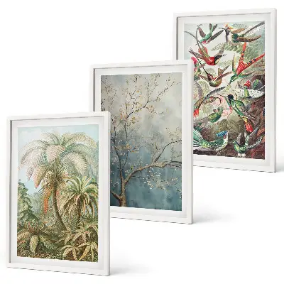 Conjunto de quadros para sala de estar com estampas de plantas tropicais, pássaros e natureza