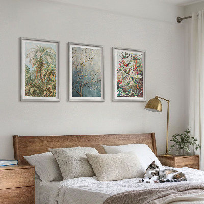 Conjunto de quadros para sala de estar Plantas tropicais, pássaros, natureza