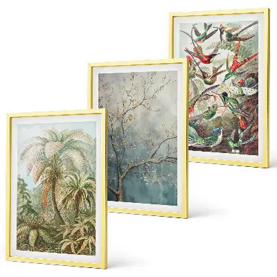 Conjunto de quadros para sala de estar com estampas de plantas tropicais, pássaros e natureza