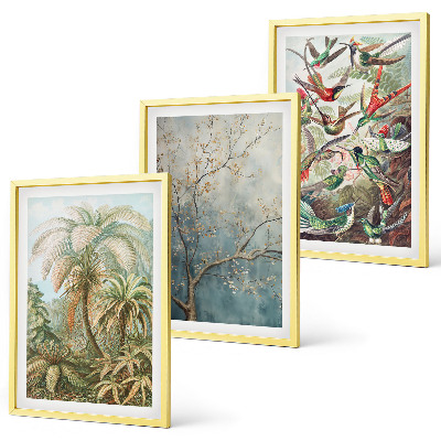 Conjunto de quadros para sala de estar Plantas tropicais, pássaros, natureza