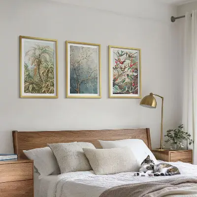 Conjunto de quadros para sala de estar com estampas de plantas tropicais, pássaros e natureza