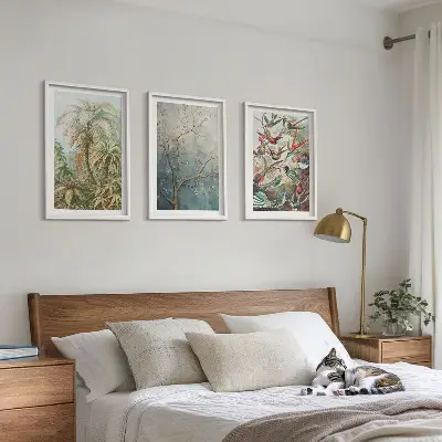 Conjunto de quadros para sala de estar com estampas de plantas tropicais, pássaros e natureza