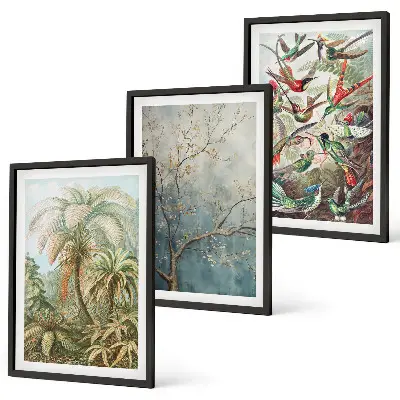 Conjunto de quadros para sala de estar com estampas de plantas tropicais, pássaros e natureza