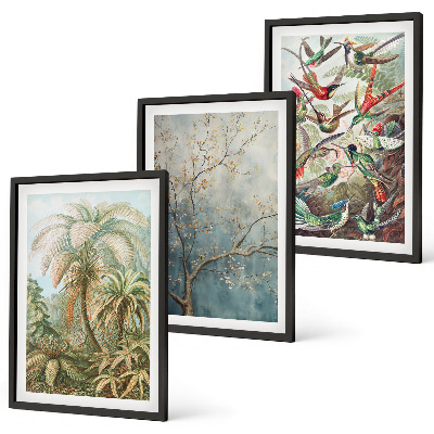 Conjunto de quadros para sala de estar Plantas tropicais, pássaros, natureza