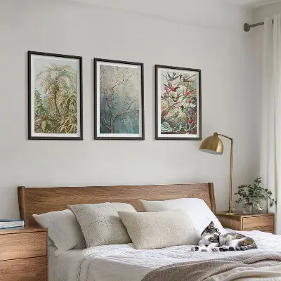 Conjunto de quadros para sala de estar com estampas de plantas tropicais, pássaros e natureza
