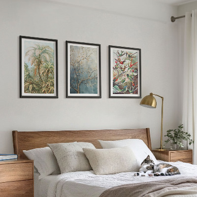 Conjunto de quadros para sala de estar Plantas tropicais, pássaros, natureza