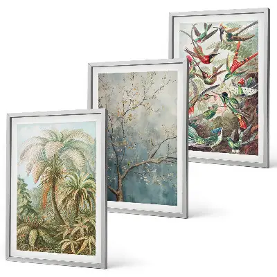 Conjunto de quadros para sala de estar com estampas de plantas tropicais, pássaros e natureza
