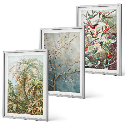 Conjunto de quadros para sala de estar Plantas tropicais, pássaros, natureza