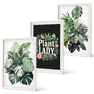 Composição de quadros moderna com plantas tropicais Senhora das Plantas