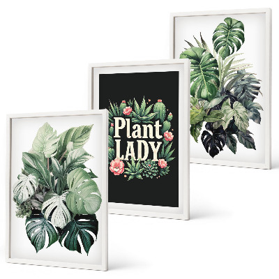 Composição de quadros moderna Plantas tropicais Senhora das Plantas