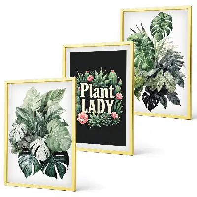 Composição de quadros moderna com plantas tropicais Senhora das Plantas