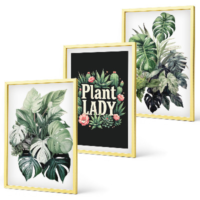 Composição de quadros moderna Plantas tropicais Senhora das Plantas