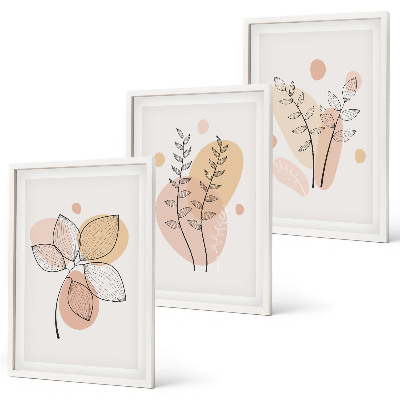 Conjunto de 3 quadros com moldura Desenhos de plantas em pastel