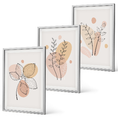 Conjunto de 3 quadros com moldura Desenhos de plantas em pastel