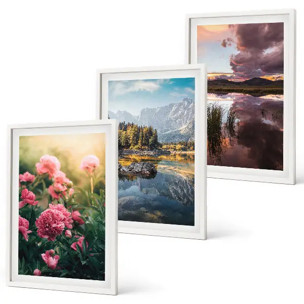 Conjunto de quadros para sala de estar com estampa de jardim de flores, montanhas e água