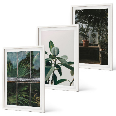 Composição de quadros moderna Folhas verdes na planta da janela