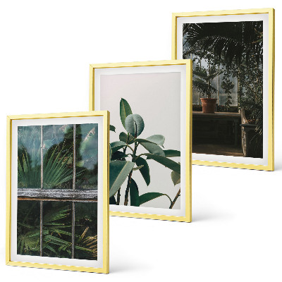 Composição de quadros moderna Folhas verdes na planta da janela