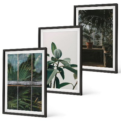 Composição de quadros moderna Folhas verdes na planta da janela