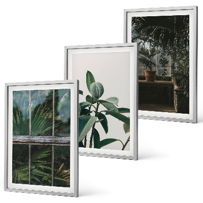 Composição de quadros moderna Folhas verdes na planta da janela