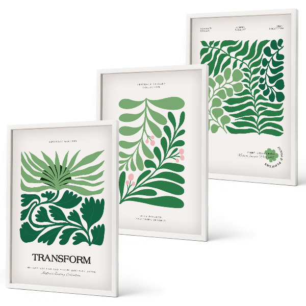 Conjunto de 3 quadros com moldura Formas de plantas com folhas verdes
