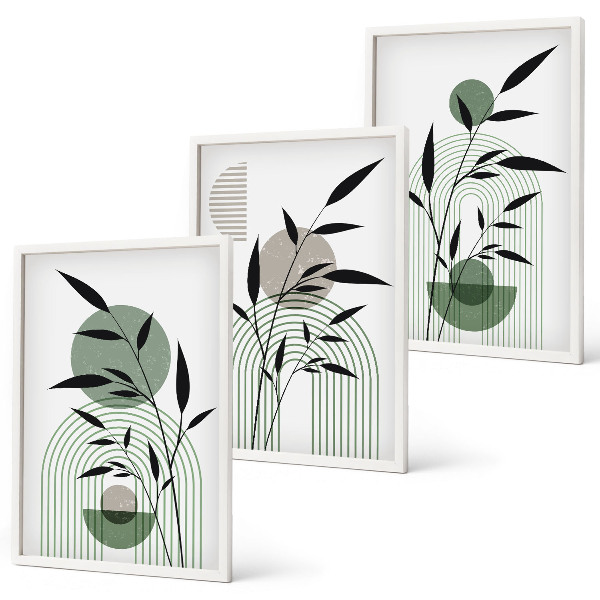 Composição de quadros moderna Composições de plantas boho