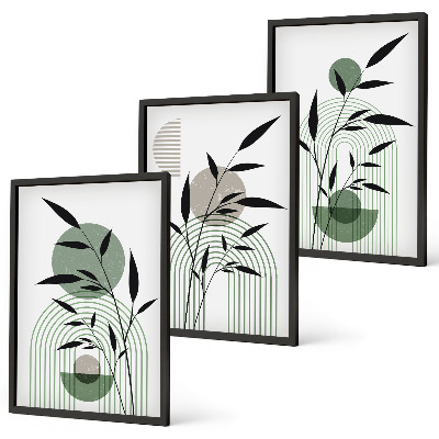 Composição de quadros moderna Composições de plantas boho