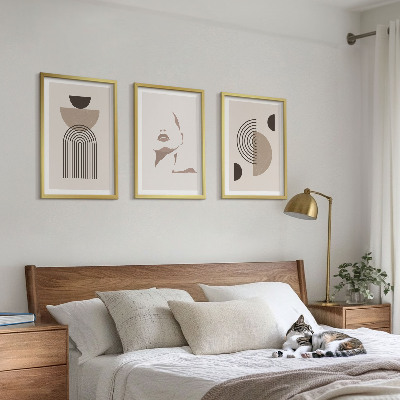 Conjunto de 3 quadros com moldura Formas abstratas e rosto