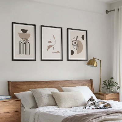 Conjunto de 3 quadros com moldura Formas abstratas e rosto