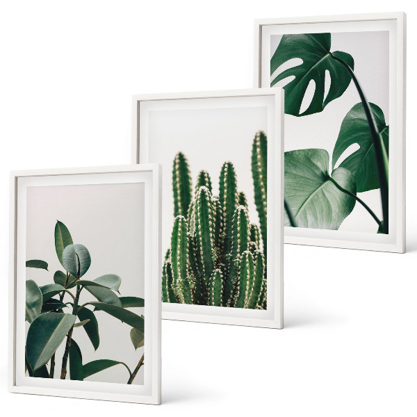 Composição de quadros moderna Plantas tropicais com estética peculiar