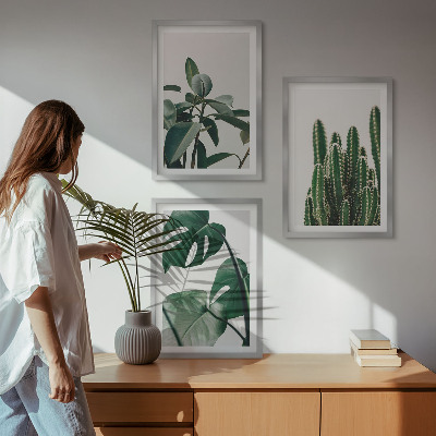 Composição de quadros moderna Plantas tropicais com estética peculiar