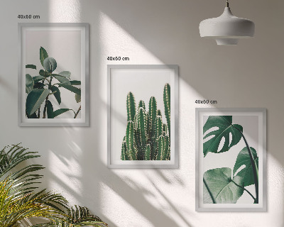 Composição de quadros moderna Plantas tropicais com estética peculiar