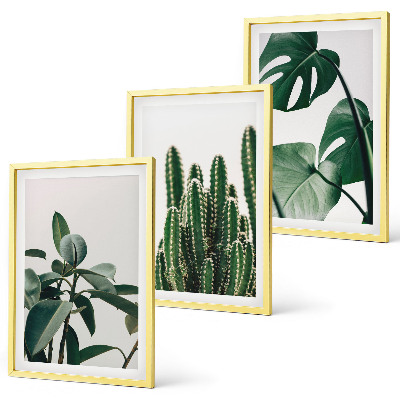 Composição de quadros moderna Plantas tropicais com estética peculiar